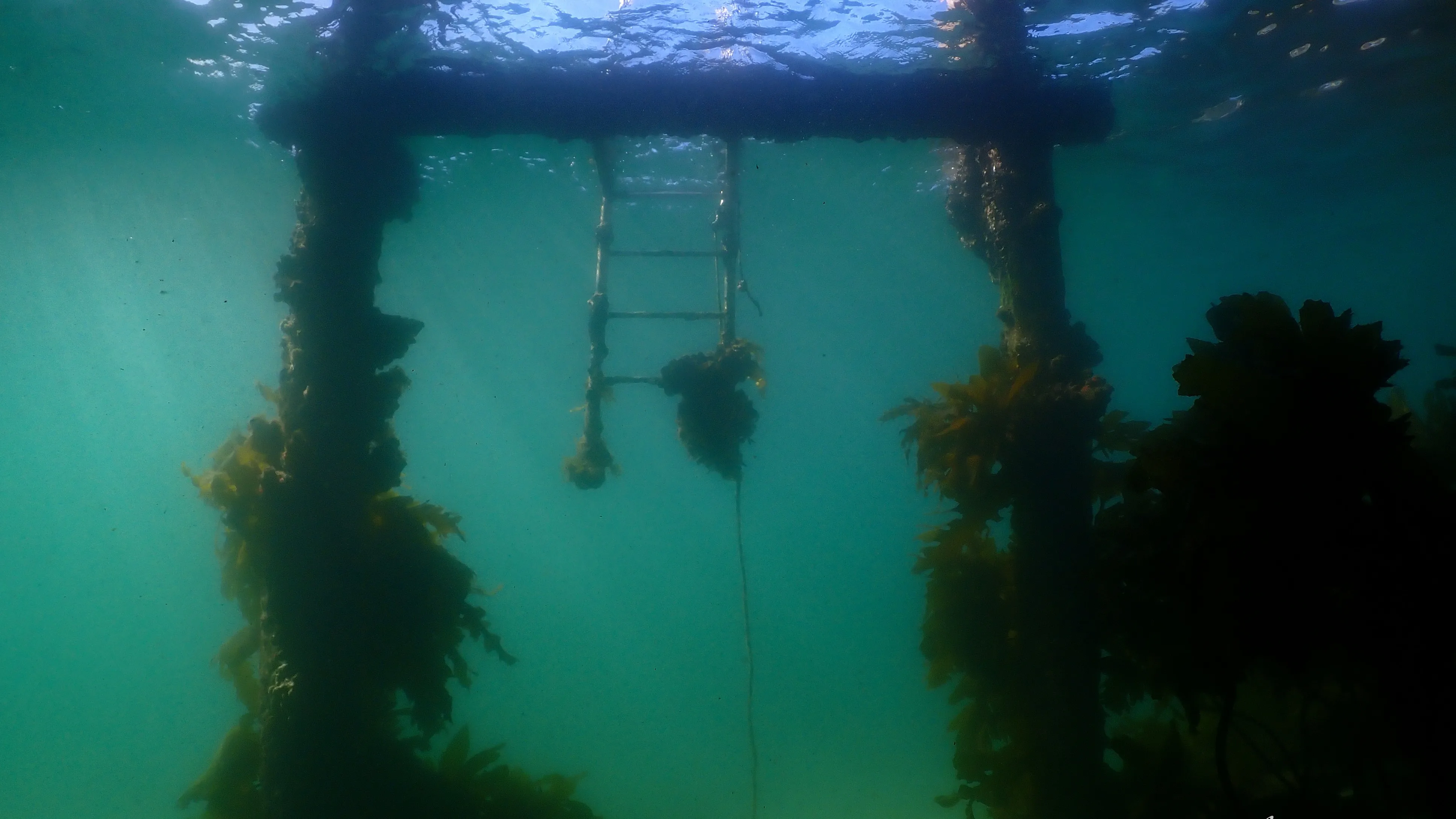 Quarantine Station thumbnail