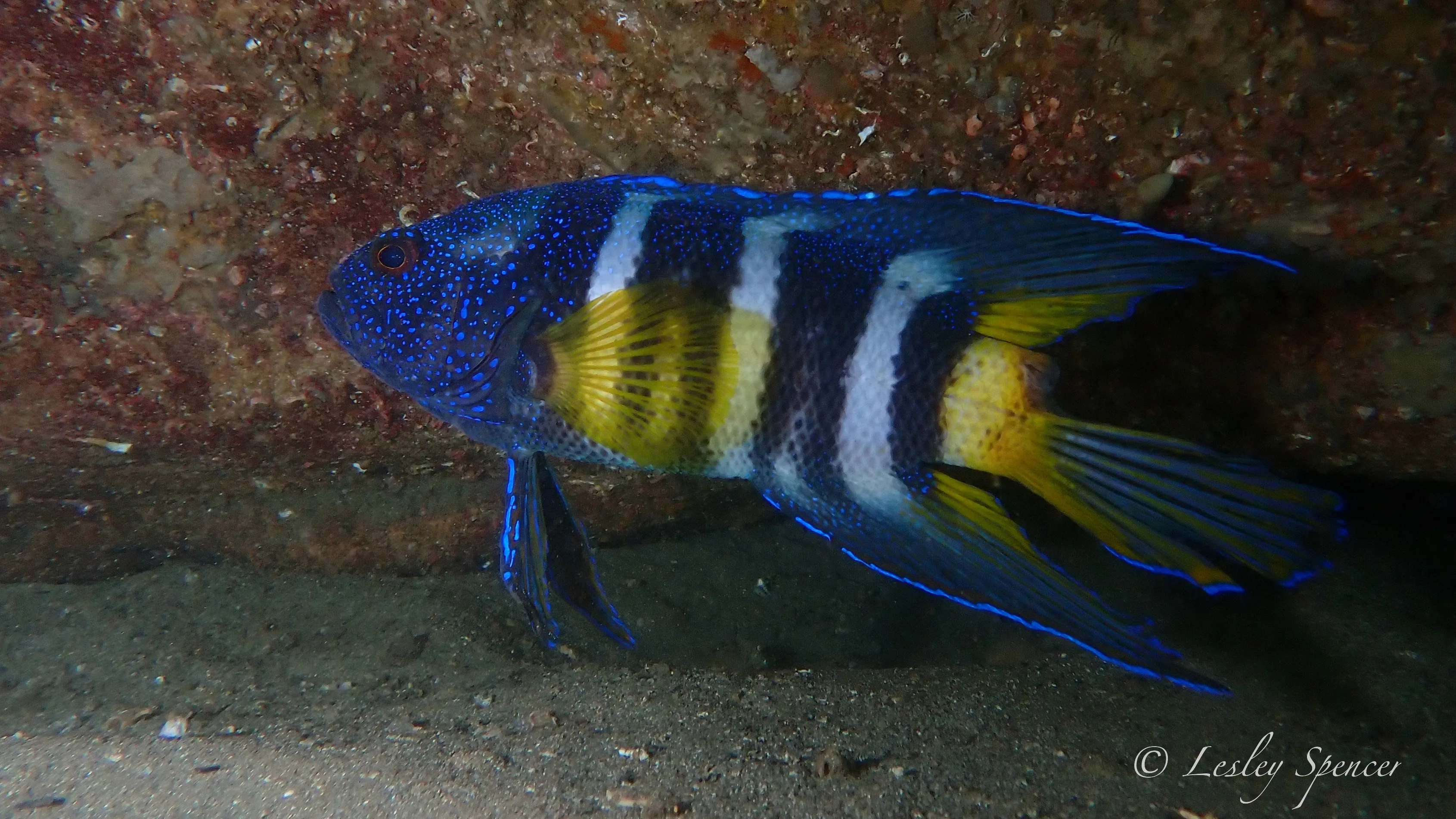 Magic Point featured image